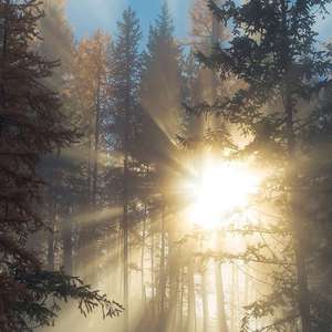 超神学院淫荡少妇熟妇
