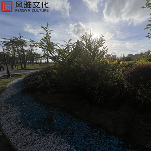 超神学院淫荡少妇熟妇
